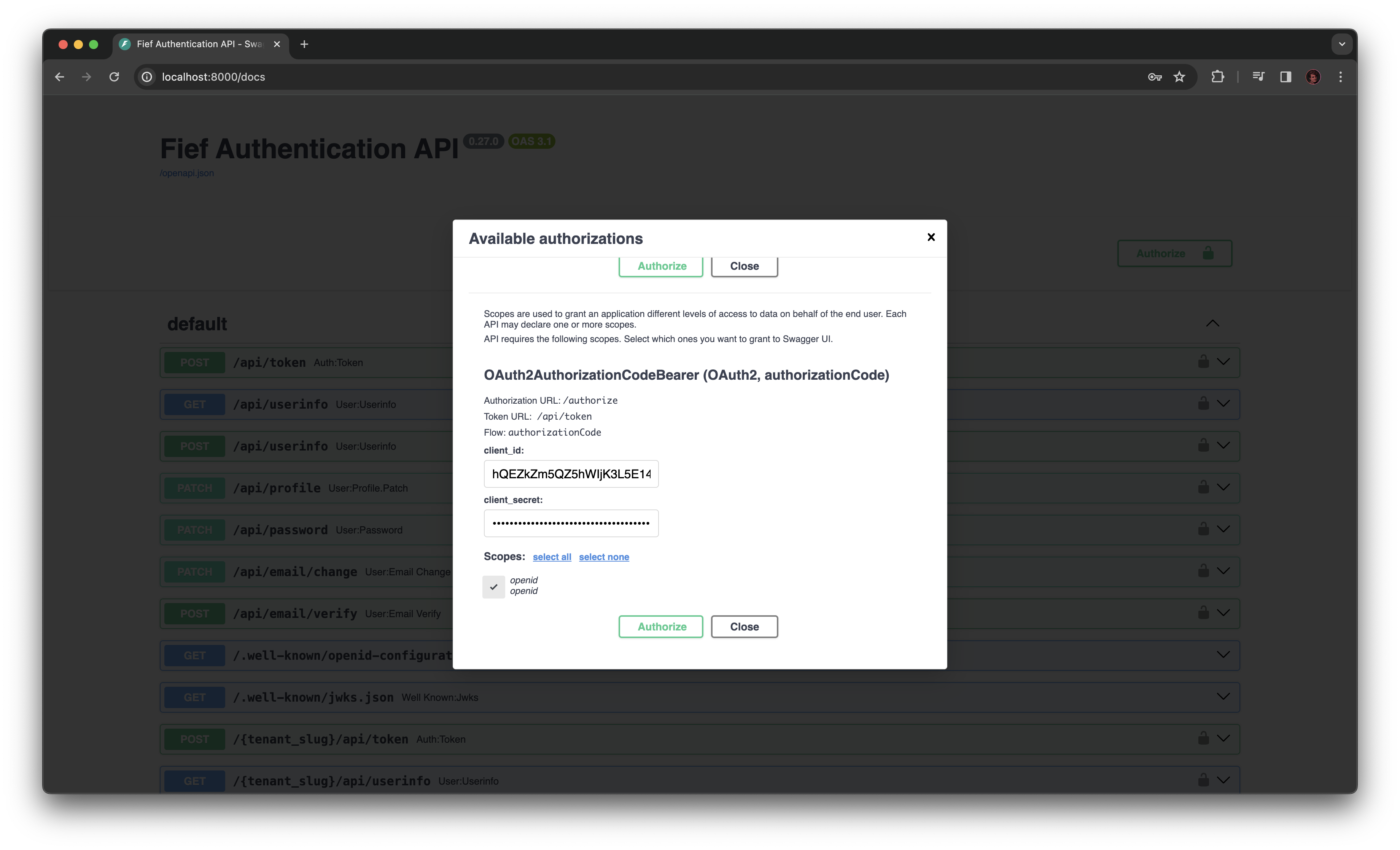 Interactive API documentation authorize windows